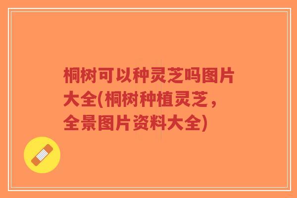 桐树可以种灵芝吗图片大全(桐树种植灵芝,全景图片资料大全)-第1张图片-超越 桐树可以种灵芝吗图片大全(桐树种植灵芝,全景图片资料大全)-第1张图片-超越