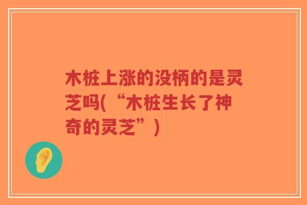 木桩上涨的没柄的是灵芝吗(“木桩生长了神奇的灵芝”)-第1张图片-超越 木桩上涨的没柄的是灵芝吗(“木桩生长了神奇的灵芝”)-第1张图片-超越