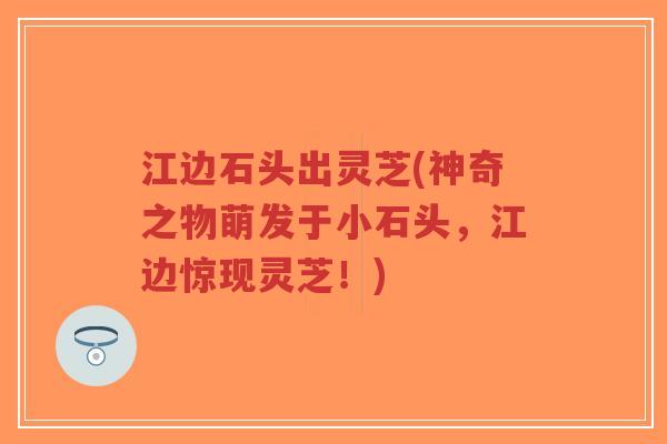 江边石头出灵芝(神奇之物萌发于小石头,江边惊现灵芝!)-第1张图片-超越 江边石头出灵芝(神奇之物萌发于小石头,江边惊现灵芝!)-第1张图片-超越