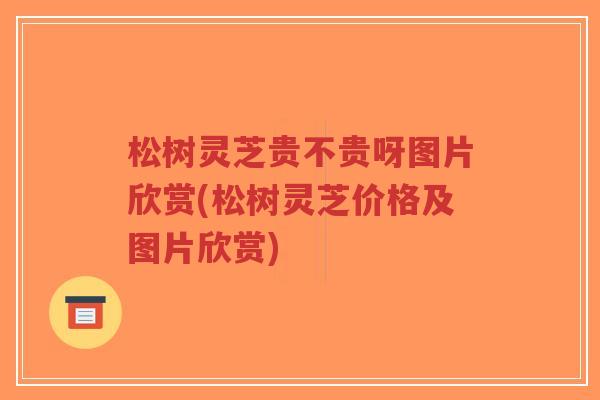 松树灵芝贵不贵呀图片欣赏(松树灵芝价格及图片欣赏)-第1张图片-超越