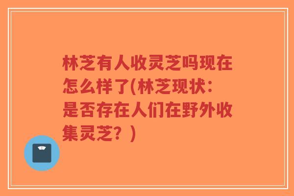 林芝有人收灵芝吗现在怎么样了(林芝现状:是否存在人们在野外收集灵芝?)-第1张图片-超越 林芝有人收灵芝吗现在怎么样了(林芝现状:是否存在人们在野外收集灵芝?)-第1张图片-超越