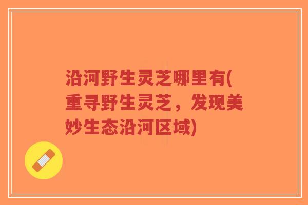 沿河野生灵芝哪里有(重寻野生灵芝,发现美妙生态沿河区域)-第1张图片-超越 沿河野生灵芝哪里有(重寻野生灵芝,发现美妙生态沿河区域)-第1张图片-超越
