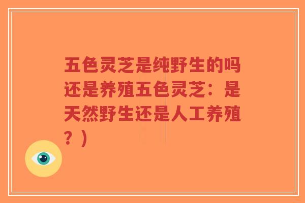 五色灵芝是纯野生的吗还是养殖五色灵芝:是天然野生还是人工养殖?)-第1张图片-超越 五色灵芝是纯野生的吗还是养殖五色灵芝:是天然野生还是人工养殖?)-第1张图片-超越