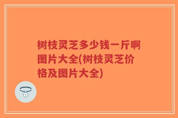 树枝灵芝多少钱一斤啊图片大全(树枝灵芝价格及图片大全)-第1张图片-超越