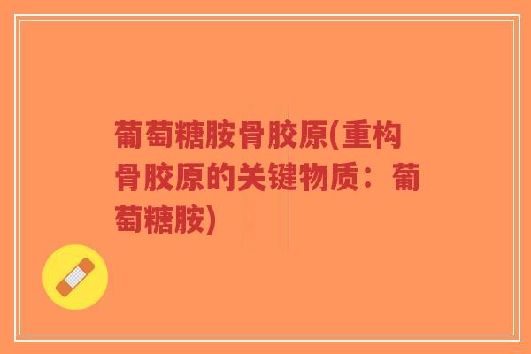 葡萄糖胺骨胶原(重构骨胶原的关键物质:葡萄糖胺)-第1张图片-超越 葡萄糖胺骨胶原(重构骨胶原的关键物质:葡萄糖胺)-第1张图片-超越