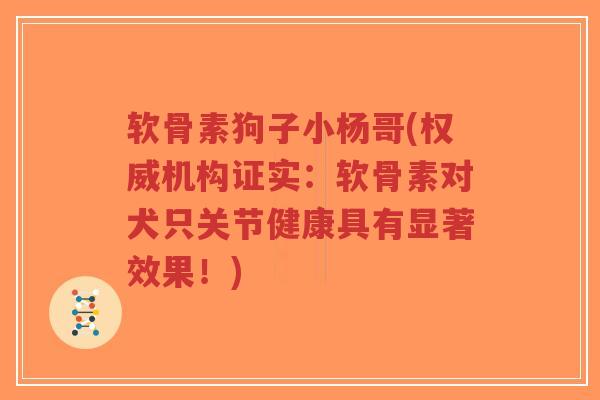 软骨素狗子小杨哥(权威机构证实:软骨素对犬只关节健康具有显著效果!)-第1张图片-超越 软骨素狗子小杨哥(权威机构证实:软骨素对犬只关节健康具有显著效果!)-第1张图片-超越