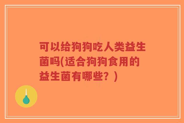 可以给狗狗吃人类益生菌吗(适合狗狗食用的益生菌有哪些?)-第1张图片-超越 可以给狗狗吃人类益生菌吗(适合狗狗食用的益生菌有哪些?)-第1张图片-超越
