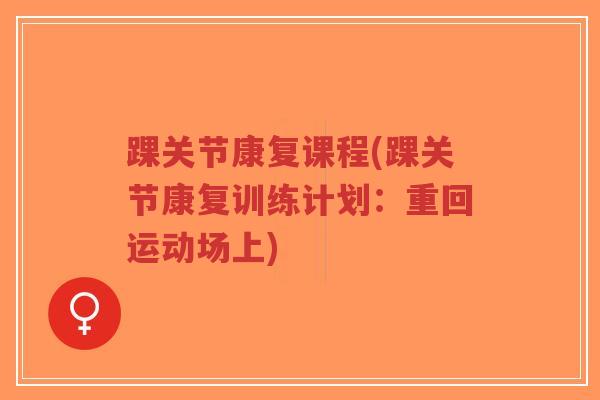 踝关节康复课程(踝关节康复训练计划:重回运动场上)-第1张图片-超越 踝关节康复课程(踝关节康复训练计划:重回运动场上)-第1张图片-超越