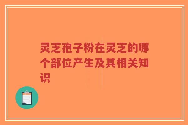 灵芝孢子粉在灵芝的哪个部位产生及其相关知识-第1张图片-超越 灵芝孢子粉在灵芝的哪个部位产生及其相关知识-第1张图片-超越