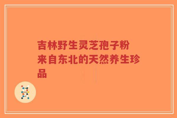 吉林野生灵芝孢子粉 来自东北的天然养生珍品-第1张图片-超越 吉林野生灵芝孢子粉 来自东北的天然养生珍品-第1张图片-超越