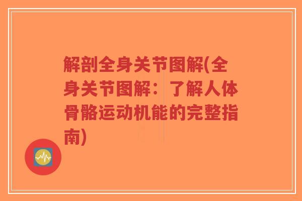 解剖全身关节图解(全身关节图解:了解人体骨骼运动机能的完整指南)-第1张图片-超越 解剖全身关节图解(全身关节图解:了解人体骨骼运动机能的完整指南)-第1张图片-超越