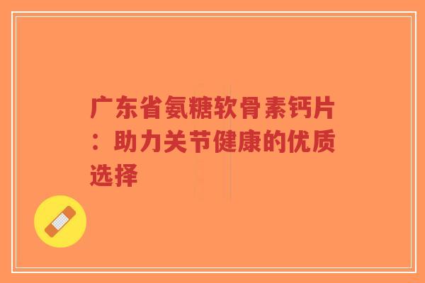 广东省氨糖软骨素钙片:助力关节健康的优质选择-第1张图片-超越 广东省氨糖软骨素钙片:助力关节健康的优质选择-第1张图片-超越