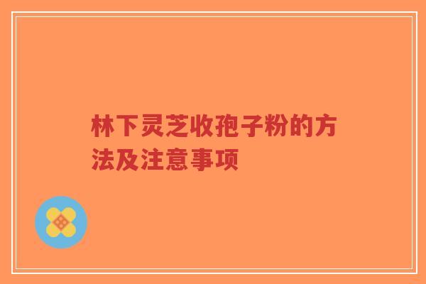 林下灵芝收孢子粉的方法及注意事项-第1张图片-超越 林下灵芝收孢子粉的方法及注意事项-第1张图片-超越
