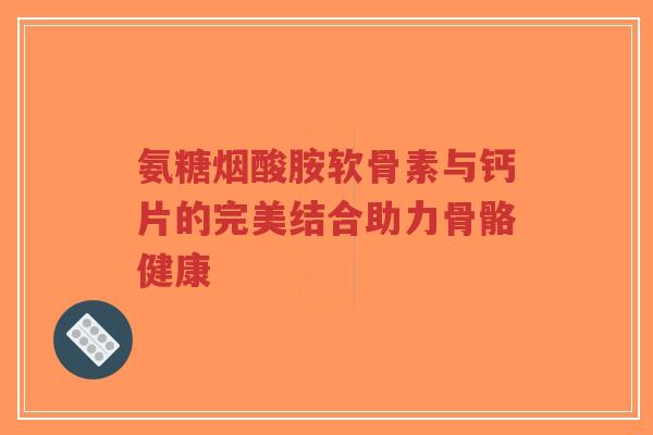 氨糖烟酸胺软骨素与钙片的完美结合助力骨骼健康-第1张图片-超越 氨糖烟酸胺软骨素与钙片的完美结合助力骨骼健康-第1张图片-超越