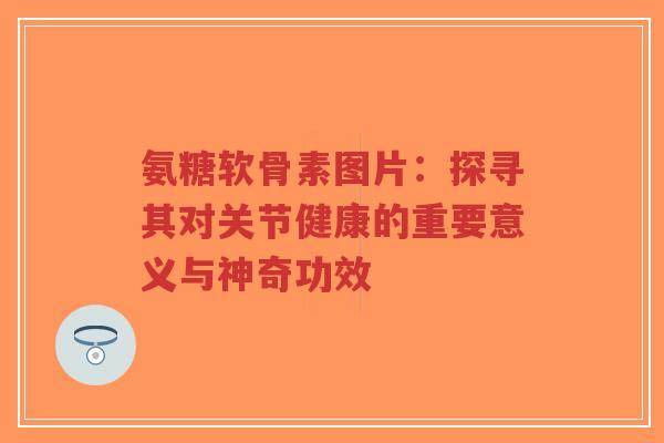 氨糖软骨素图片:探寻其对关节健康的重要意义与神奇功效-第1张图片-超越 氨糖软骨素图片:探寻其对关节健康的重要意义与神奇功效-第1张图片-超越