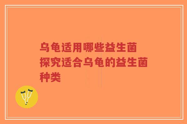 乌龟适用哪些益生菌 探究适合乌龟的益生菌种类-第1张图片-超越 乌龟适用哪些益生菌 探究适合乌龟的益生菌种类-第1张图片-超越