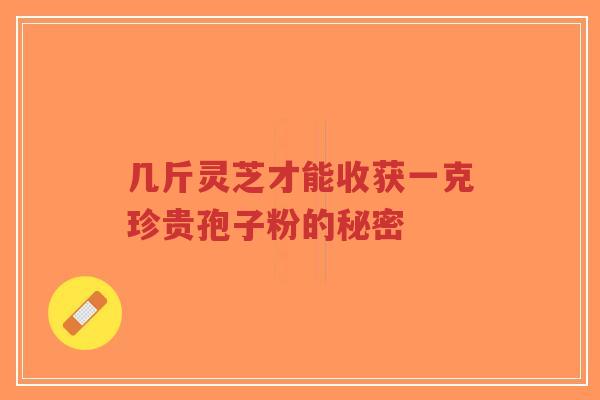 几斤灵芝才能收获一克珍贵孢子粉的秘密-第1张图片-超越 几斤灵芝才能收获一克珍贵孢子粉的秘密-第1张图片-超越