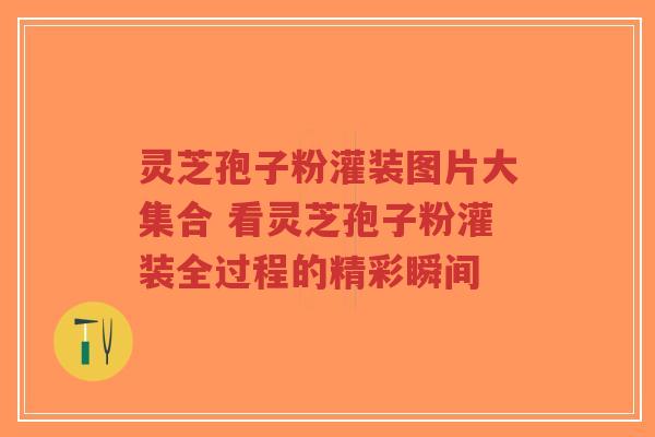 灵芝孢子粉灌装图片大集合 看灵芝孢子粉灌装全过程的精彩瞬间-第1张图片-超越 灵芝孢子粉灌装图片大集合 看灵芝孢子粉灌装全过程的精彩瞬间-第1张图片-超越