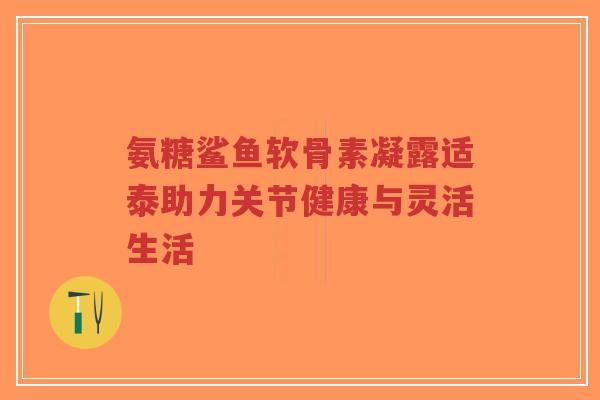 氨糖鲨鱼软骨素凝露适泰助力关节健康与灵活生活-第1张图片-超越 氨糖鲨鱼软骨素凝露适泰助力关节健康与灵活生活-第1张图片-超越