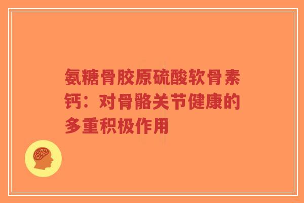 氨糖骨胶原硫酸软骨素钙:对骨骼关节健康的多重积极作用-第1张图片-超越 氨糖骨胶原硫酸软骨素钙:对骨骼关节健康的多重积极作用-第1张图片-超越