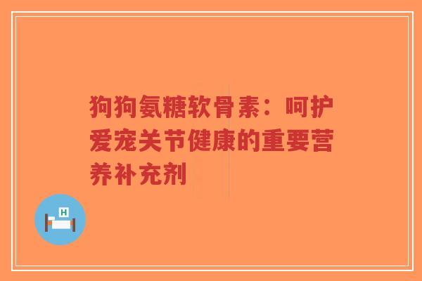 狗狗氨糖软骨素:呵护爱宠关节健康的重要营养补充剂-第1张图片-超越 狗狗氨糖软骨素:呵护爱宠关节健康的重要营养补充剂-第1张图片-超越