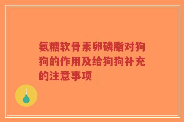 氨糖软骨素卵磷脂对狗狗的作用及给狗狗补充的注意事项-第1张图片-超越 氨糖软骨素卵磷脂对狗狗的作用及给狗狗补充的注意事项-第1张图片-超越