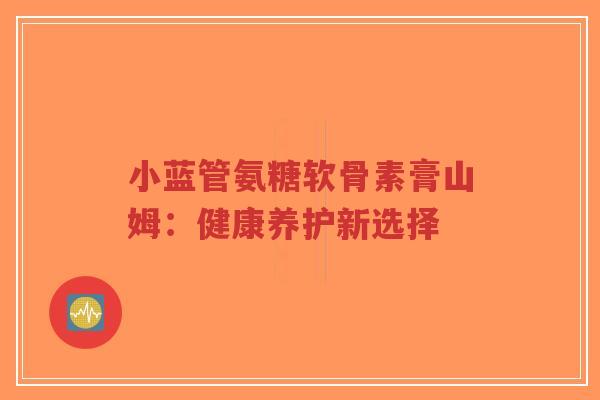 小蓝管氨糖软骨素膏山姆:健康养护新选择-第1张图片-超越 小蓝管氨糖软骨素膏山姆:健康养护新选择-第1张图片-超越