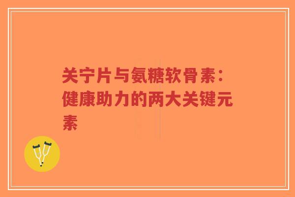 关宁片与氨糖软骨素:健康助力的两大关键元素-第1张图片-超越 关宁片与氨糖软骨素:健康助力的两大关键元素-第1张图片-超越