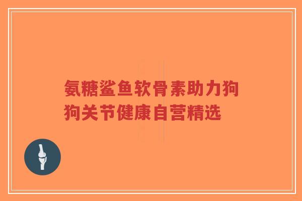 氨糖鲨鱼软骨素助力狗狗关节健康自营精选-第1张图片-超越 氨糖鲨鱼软骨素助力狗狗关节健康自营精选-第1张图片-超越