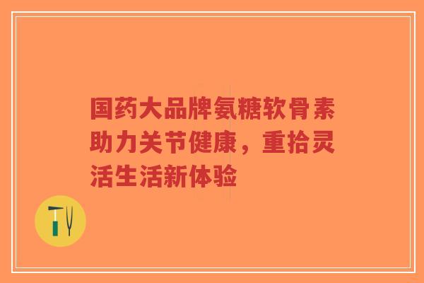 国药大品牌氨糖软骨素助力关节健康,重拾灵活生活新体验-第1张图片-超越 国药大品牌氨糖软骨素助力关节健康,重拾灵活生活新体验-第1张图片-超越