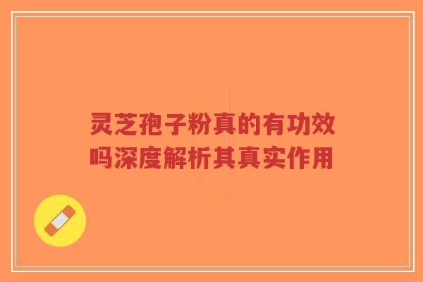 灵芝孢子粉真的有功效吗深度解析其真实作用-第1张图片-超越 灵芝孢子粉真的有功效吗深度解析其真实作用-第1张图片-超越