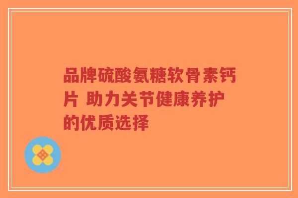 品牌硫酸氨糖软骨素钙片 助力关节健康养护的优质选择-第1张图片-超越 品牌硫酸氨糖软骨素钙片 助力关节健康养护的优质选择-第1张图片-超越