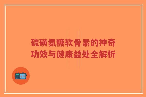 硫磺氨糖软骨素的神奇功效与健康益处全解析-第1张图片-超越 硫磺氨糖软骨素的神奇功效与健康益处全解析-第1张图片-超越