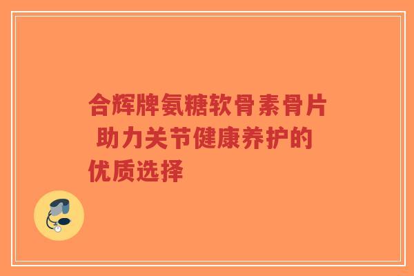合辉牌氨糖软骨素骨片 助力关节健康养护的优质选择-第1张图片-超越 合辉牌氨糖软骨素骨片 助力关节健康养护的优质选择-第1张图片-超越