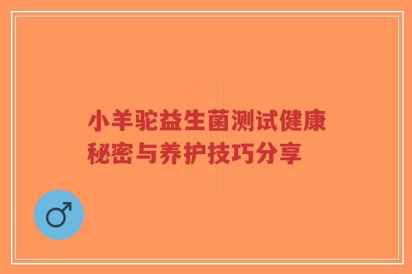 小羊驼益生菌测试健康秘密与养护技巧分享-第1张图片-超越 小羊驼益生菌测试健康秘密与养护技巧分享-第1张图片-超越