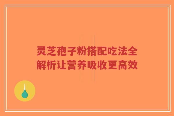 灵芝孢子粉搭配吃法全解析让营养吸收更高效-第1张图片-超越 灵芝孢子粉搭配吃法全解析让营养吸收更高效-第1张图片-超越