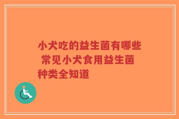 小犬吃的益生菌有哪些 常见小犬食用益生菌种类全知道-第1张图片-超越 小犬吃的益生菌有哪些 常见小犬食用益生菌种类全知道-第1张图片-超越
