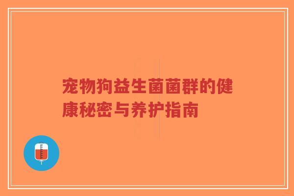 宠物狗益生菌菌群的健康秘密与养护指南-第1张图片-超越 宠物狗益生菌菌群的健康秘密与养护指南-第1张图片-超越