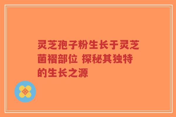 灵芝孢子粉生长于灵芝菌褶部位 探秘其独特的生长之源-第1张图片-超越 灵芝孢子粉生长于灵芝菌褶部位 探秘其独特的生长之源-第1张图片-超越