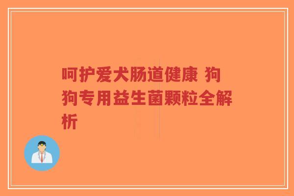 呵护爱犬肠道健康 狗狗专用益生菌颗粒全解析-第1张图片-超越 呵护爱犬肠道健康 狗狗专用益生菌颗粒全解析-第1张图片-超越
