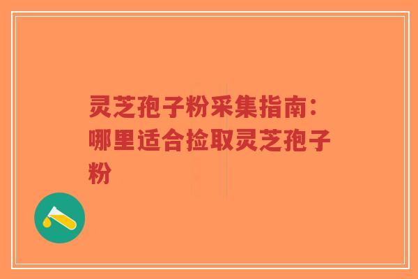 灵芝孢子粉采集指南:哪里适合捡取灵芝孢子粉-第1张图片-超越 灵芝孢子粉采集指南:哪里适合捡取灵芝孢子粉-第1张图片-超越