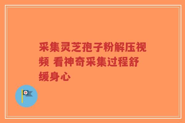 采集灵芝孢子粉解压视频 看神奇采集过程舒缓身心-第1张图片-超越 采集灵芝孢子粉解压视频 看神奇采集过程舒缓身心-第1张图片-超越
