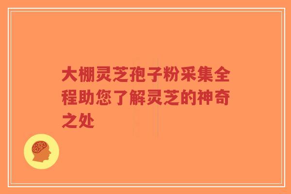 大棚灵芝孢子粉采集全程助您了解灵芝的神奇之处-第1张图片-超越