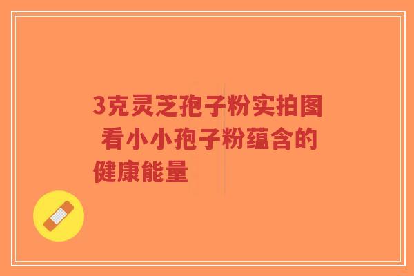 3克灵芝孢子粉实拍图 看小小孢子粉蕴含的健康能量-第1张图片-超越 3克灵芝孢子粉实拍图 看小小孢子粉蕴含的健康能量-第1张图片-超越