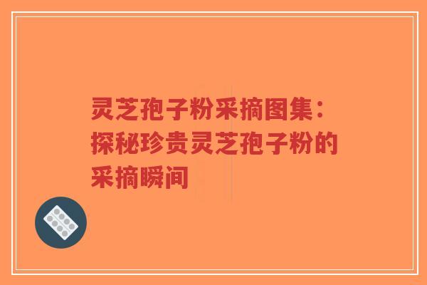灵芝孢子粉采摘图集:探秘珍贵灵芝孢子粉的采摘瞬间-第1张图片-超越 灵芝孢子粉采摘图集:探秘珍贵灵芝孢子粉的采摘瞬间-第1张图片-超越
