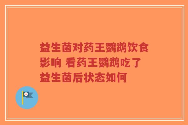 益生菌对药王鹦鹉饮食影响 看药王鹦鹉吃了益生菌后状态如何-第1张图片-超越 益生菌对药王鹦鹉饮食影响 看药王鹦鹉吃了益生菌后状态如何-第1张图片-超越
