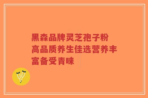 黑森品牌灵芝孢子粉 高品质养生佳选营养丰富备受青睐-第1张图片-超越