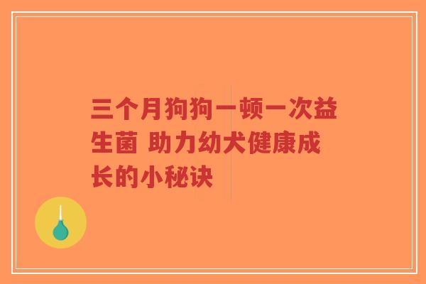 三个月狗狗一顿一次益生菌 助力幼犬健康成长的小秘诀-第1张图片-超越 三个月狗狗一顿一次益生菌 助力幼犬健康成长的小秘诀-第1张图片-超越
