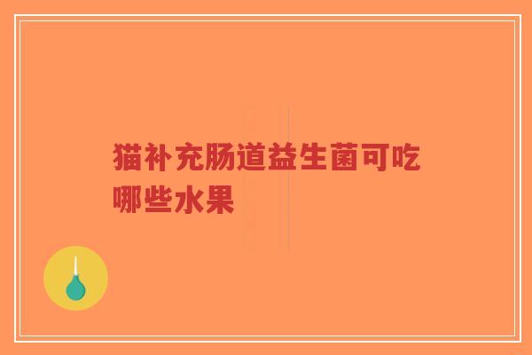 猫补充肠道益生菌可吃哪些水果-第1张图片-超越 猫补充肠道益生菌可吃哪些水果-第1张图片-超越