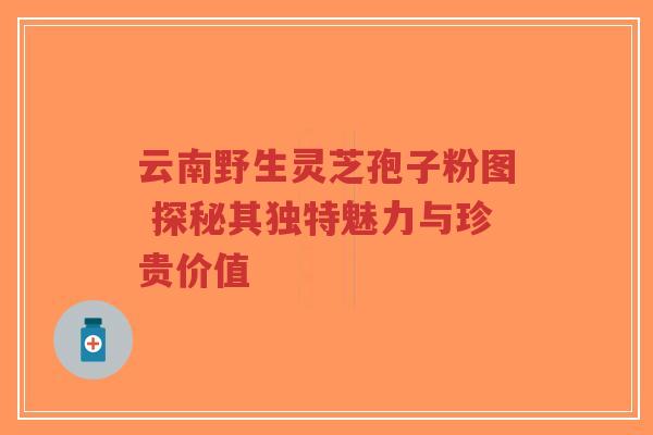 云南野生灵芝孢子粉图 探秘其独特魅力与珍贵价值-第1张图片-超越 云南野生灵芝孢子粉图 探秘其独特魅力与珍贵价值-第1张图片-超越